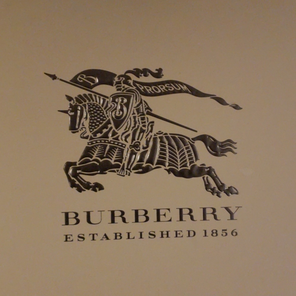 Burberry Clemence check rain boots